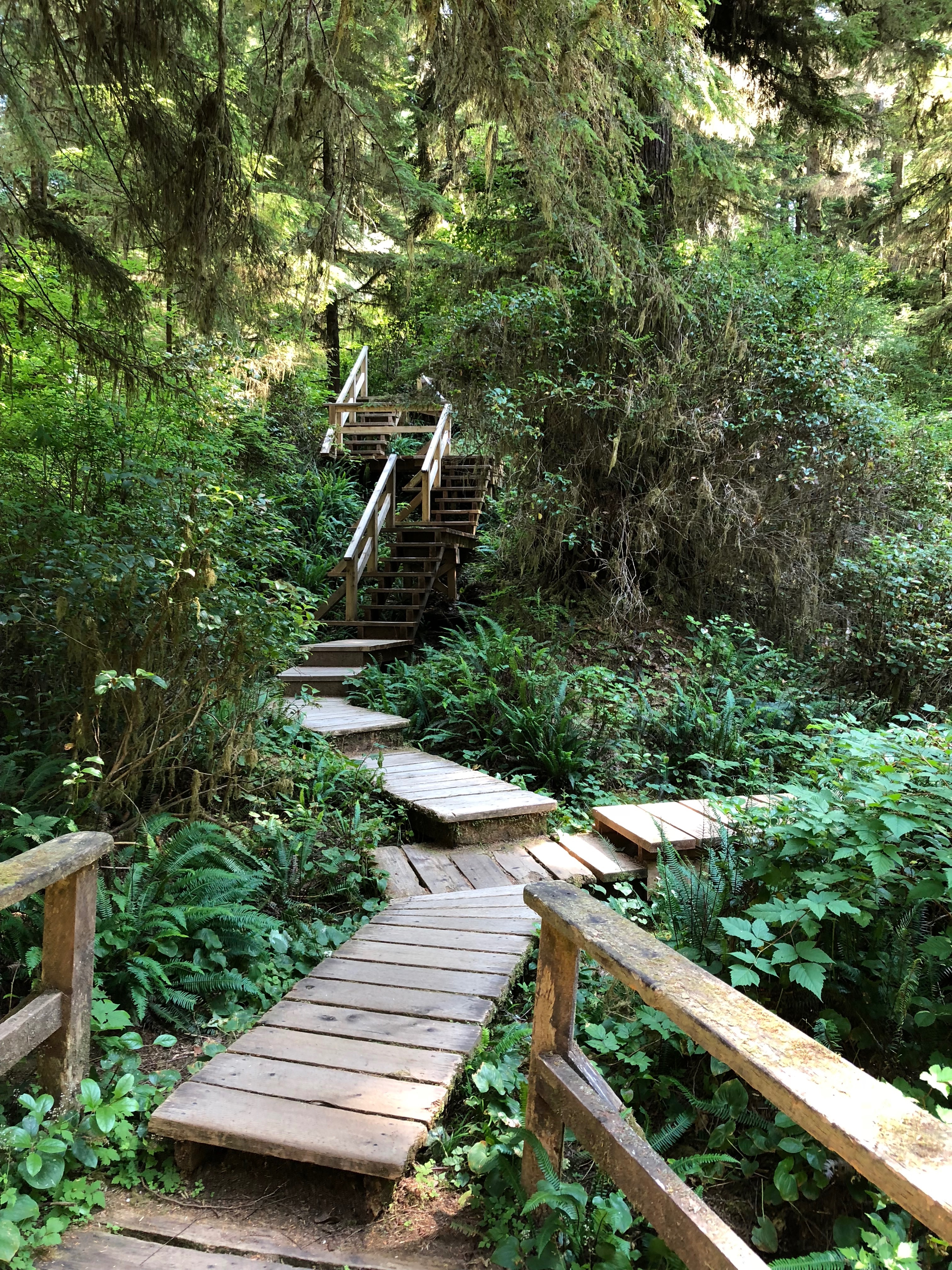 Many Paths Possible Main Picture